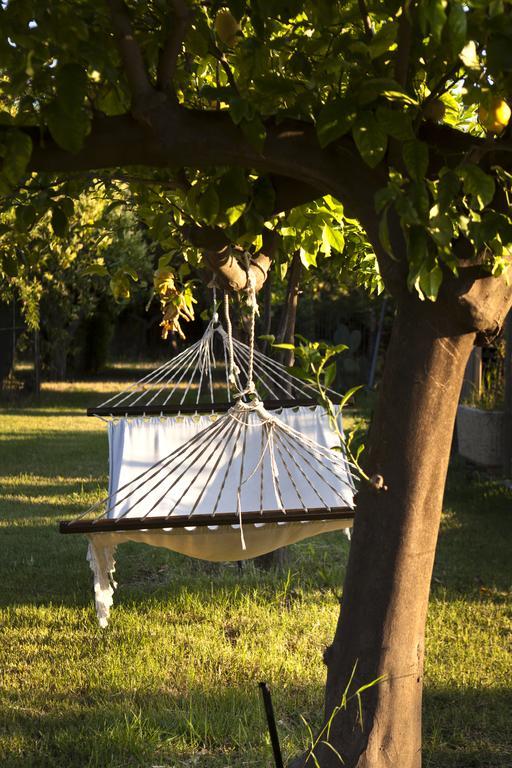 Agriturismo Terrenia Villa Трапитело Екстериор снимка